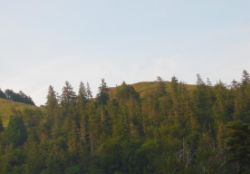2013-07-20_Regina-F-Rau_Kochel-Rabenkopf (514)bc.JPG